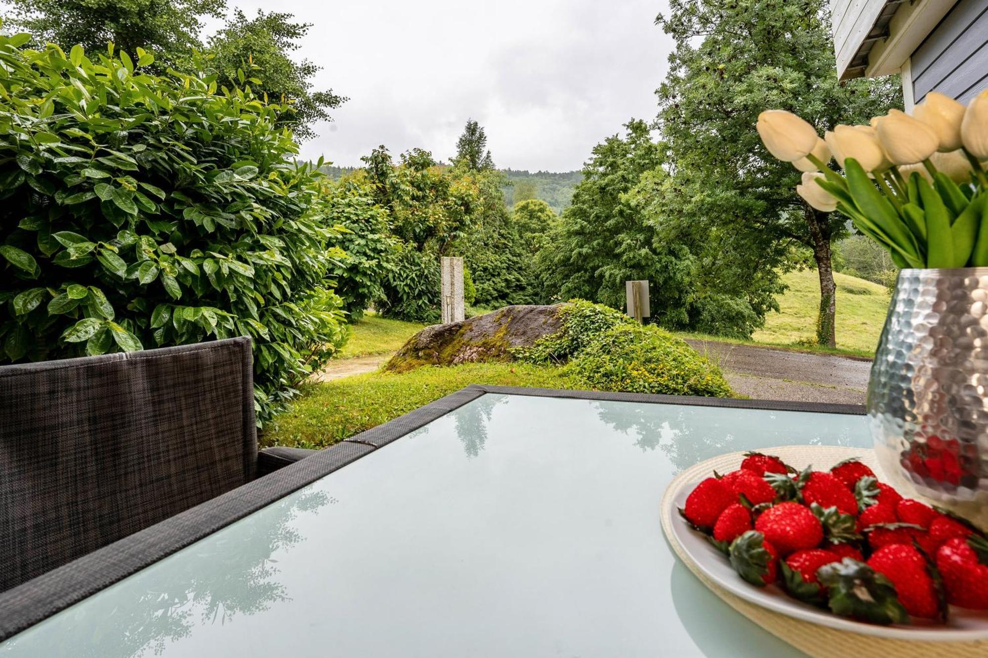 Bella Natura Appartement Loffenau